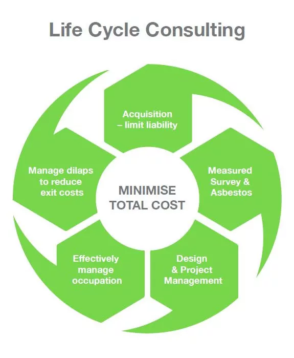 Lifecycle Consulting Image